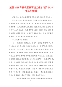 某县2025年优化营商环境工作总结及2025年工作计划