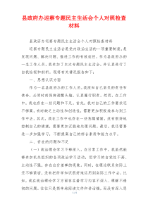县政府办巡察专题民主生活会个人对照检查材料