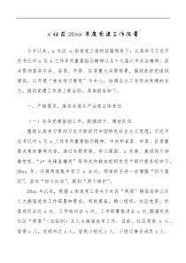 总结报告20XX年度党建工作报告范文党建工作总结