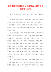 县统计局党员领导干部巡视整改专题民主生活会情况报告