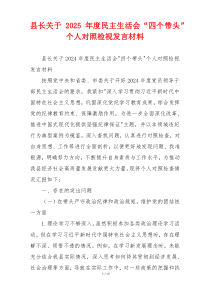 县长关于2025年度民主生活会“四个带头”个人对照检视发言材料