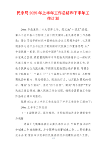 民宗局2025年上半年工作总结和下半年工作计划