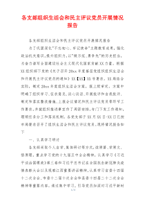 各支部组织生活会和民主评议党员开展情况报告