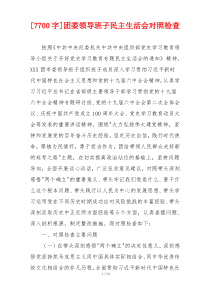 团委领导班子民主生活会对照检查