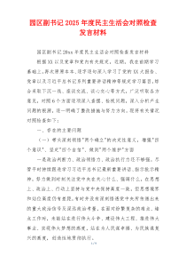 园区副书记2025年度民主生活会对照检查发言材料