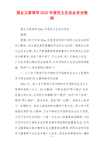 国企主要领导2025年度民主生活会发言提纲
