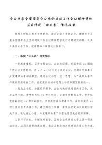 总结报告企业开展全国国有企业党的建设工作会议精神贯彻落实情况回头看情况报告范文集团公司工作汇报总结