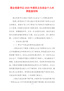 国企党委书记2025年度民主生活会个人对照检查材料