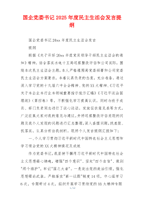 国企党委书记2025年度民主生活会发言提纲