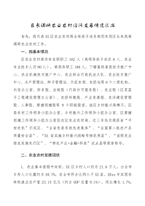 总结报告区长调研农业农村经济发展情况汇报