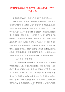 老君坡镇2025年上半年工作总结及下半年工作计划