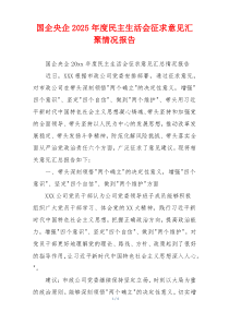 国企央企2025年度民主生活会征求意见汇聚情况报告