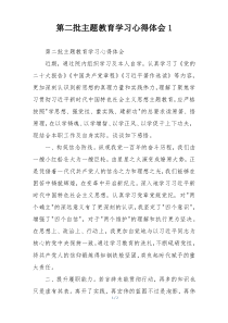 第二批主题教育学习心得体会1