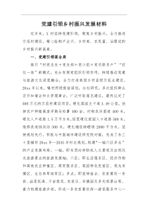 总结材料党建引领乡村振兴发展材料
