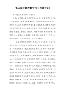 第二批主题教育学习心得体会30