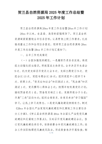 贺兰县自然资源局2025年度工作总结暨2025年工作计划