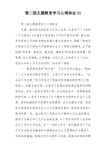 第二批主题教育学习心得体会31