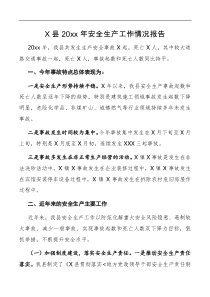 情况报告X县20XX年安全生产工作情况报告