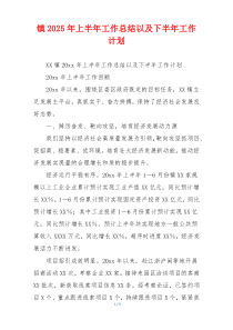 镇2025年上半年工作总结以及下半年工作计划