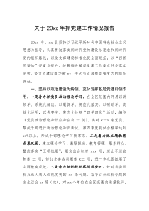 情况报告关于20XX年抓党建工作情况报告