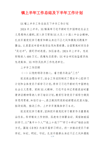 镇上半年工作总结及下半年工作计划