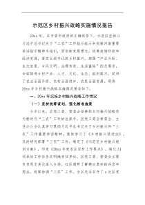 情况报告示范区乡村振兴战略实施情况报告范文