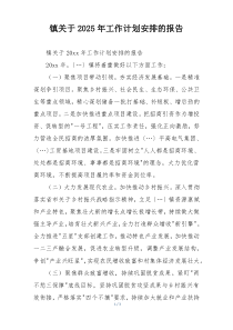 镇关于2025年工作计划安排的报告