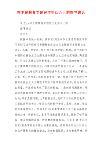 在主题教育专题民主生活会上的指导讲话