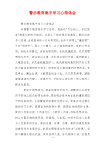 警示教育集中学习心得体会