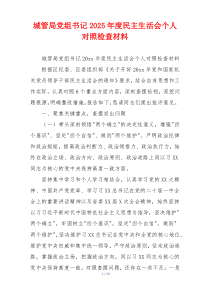 城管局党组书记2025年度民主生活会个人对照检查材料