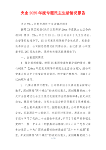 央企2025年度专题民主生活情况报告