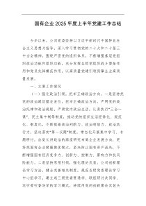 国有企业2025年度上半年党建工作总结