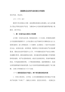 某国有企业党代会纪委工作报告