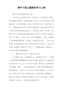 青年干部主题教育学习心得