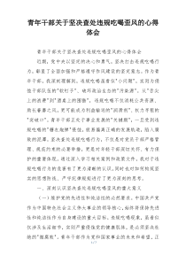 青年干部关于坚决查处违规吃喝歪风的心得体会