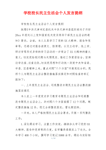 学校校长民主生活会个人发言提纲