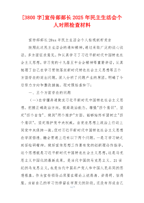 宣传部部长2025年民主生活会个人对照检查材料