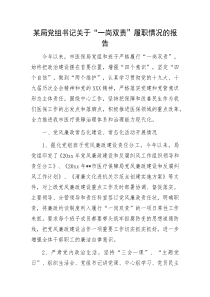 某局党组书记关于一岗双责履职情况的报告