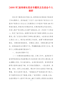 宣传部长党史专题民主生活会个人剖析