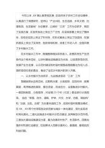 某镇20XX年乡村振兴工作报告