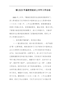 镇2025年基层党组织上半年工作总结
