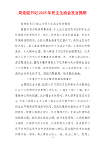 局党组书记2025年民主生活会发言提纲