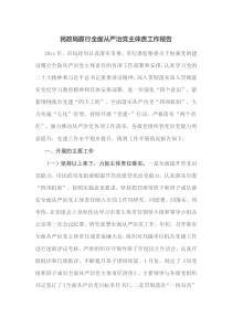 民政局履行全面从严治党主体责工作报告