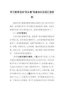 汇报学习教育活动回头看自查自纠总结汇报材料