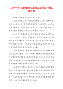 巡视整改专题民主生活会问题汇聚汇集