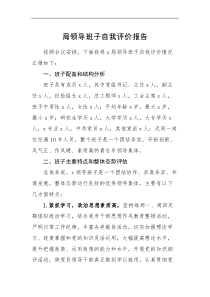 自评报告局领导班子自我评价报告范文自评工作汇报总结