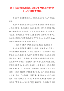 市公安局党委副书记2025年度民主生活会个人对照检查材料
