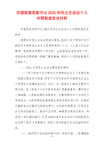 市国资委党委书记2025年民主生活会个人对照检查发言材料