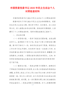 市国资委党委书记2025年民主生活会个人对照检查材料