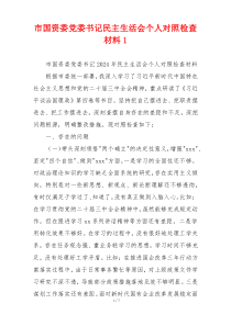 市国资委党委书记民主生活会个人对照检查材料1